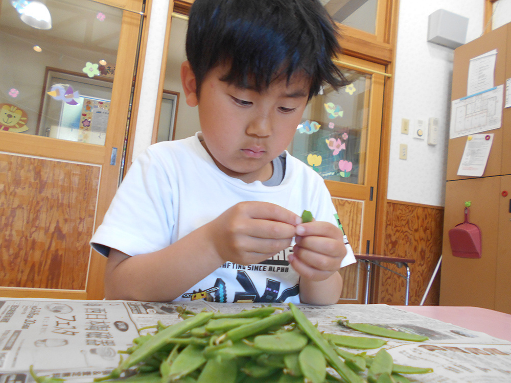 dscn0459.jpg