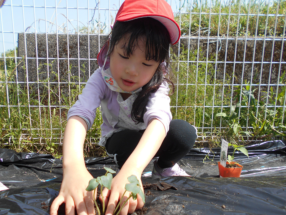 dscn0302.jpg